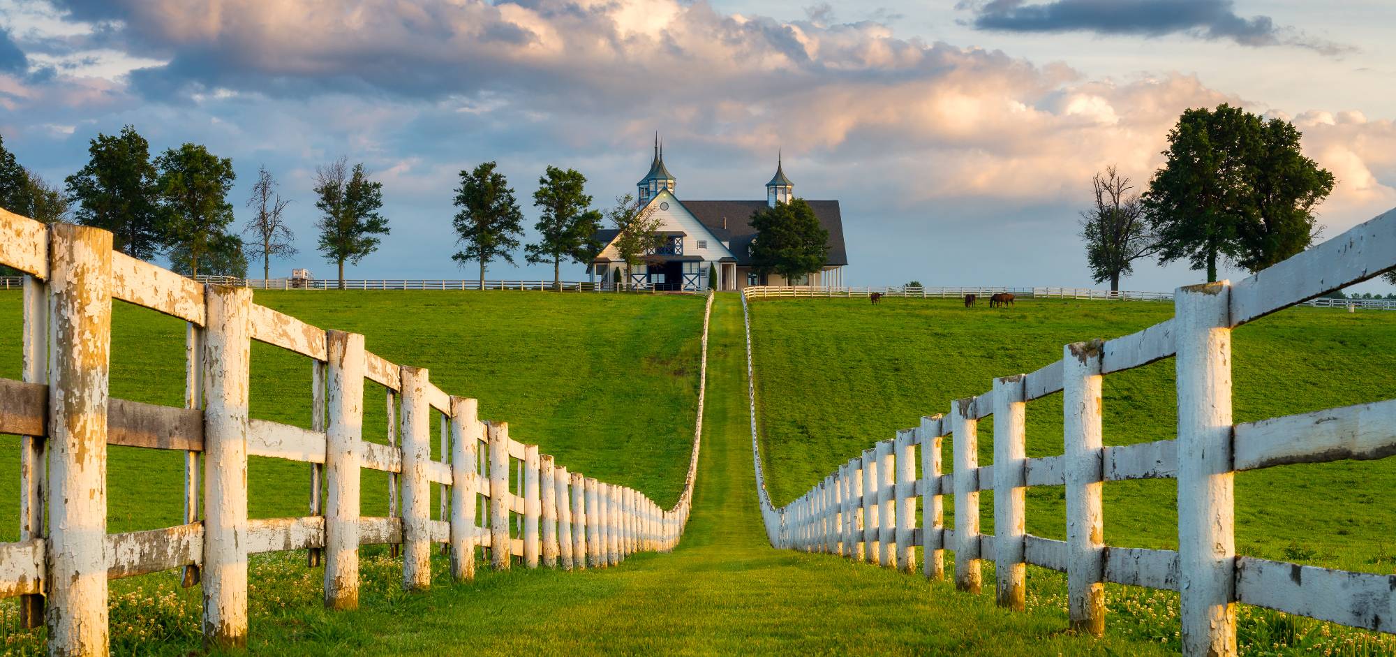 horse barn in Kentucky